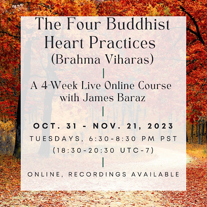 Awakening Joy tweet media