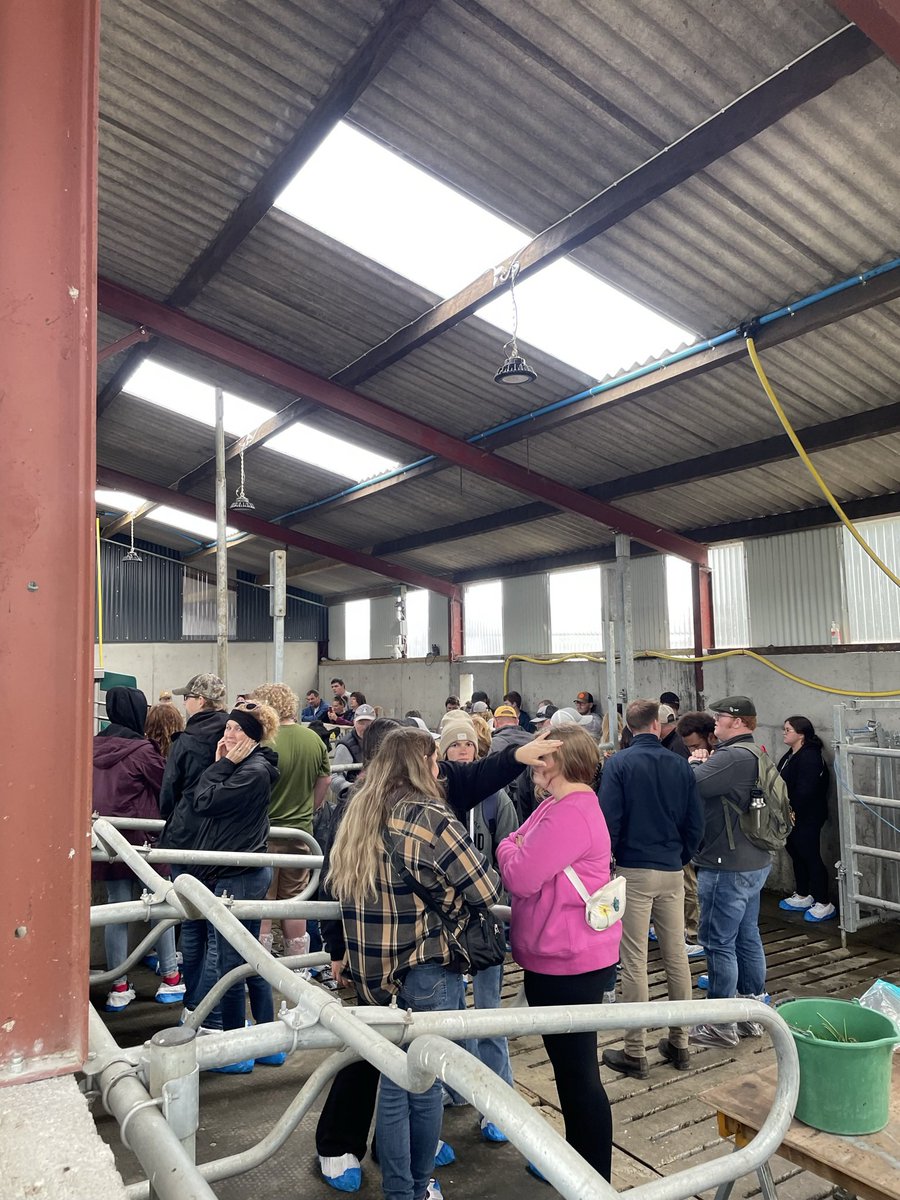 Noel Lynch tweet media