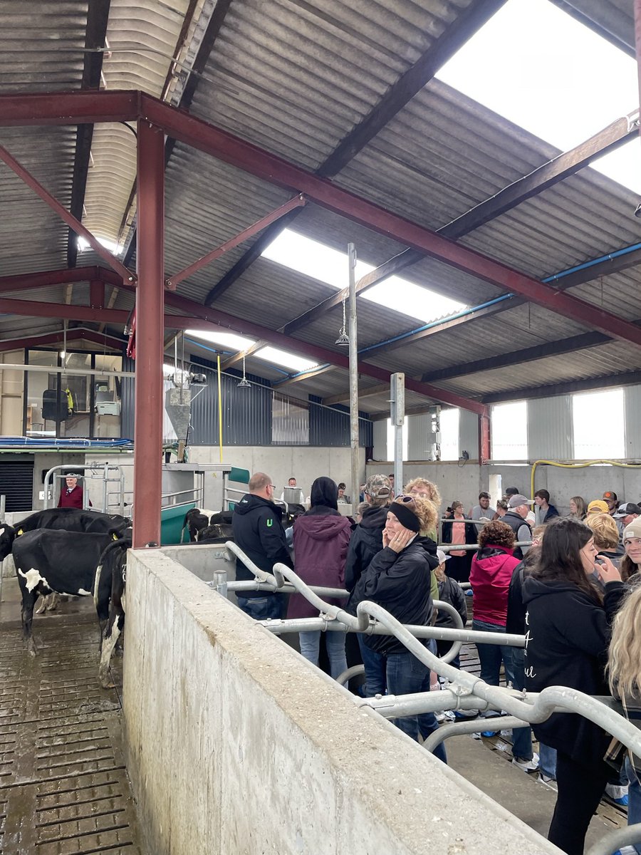 Noel Lynch tweet media