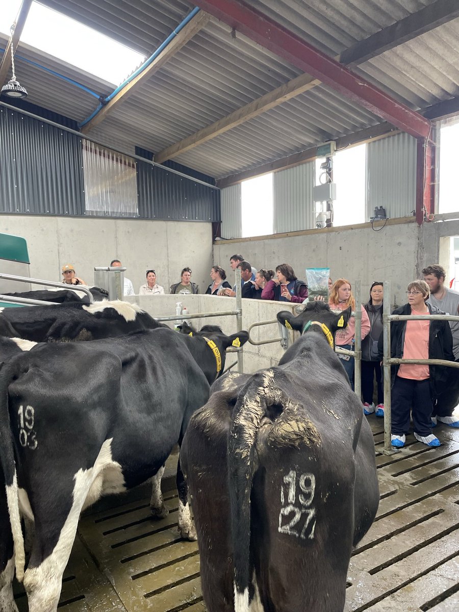 Noel Lynch tweet media