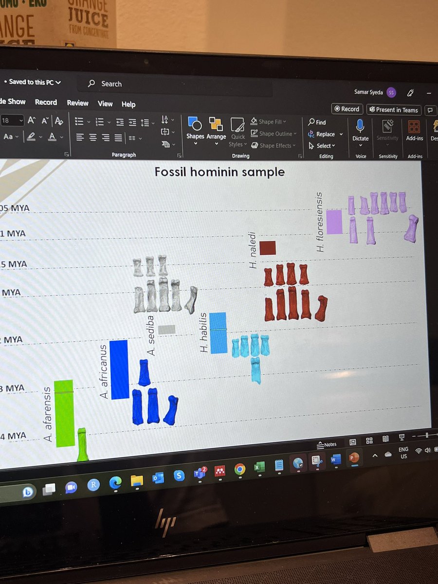 Samar__Syeda's tweet image. All ready for #ESHE2023 ! Come see me present on a whole lot of fossil hands tomorrow 👋🏽🦍💀