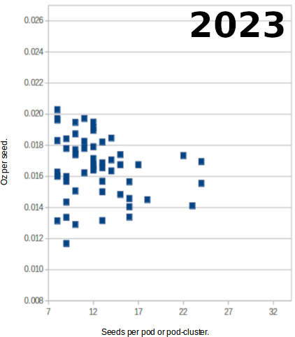 thebiologistisn's tweet photo. I'm still collecting the data from my pole bean population, but already the distribution of seed weights is distinctly narrower. #BlueBeanProject https://t.co/5qFZGlDpRO