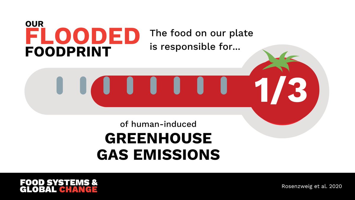 Cornell Food Systems & Global Change tweet media