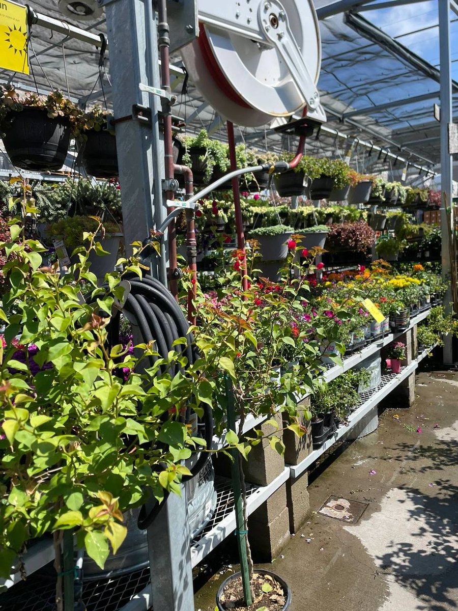 IceXcoin tweet media