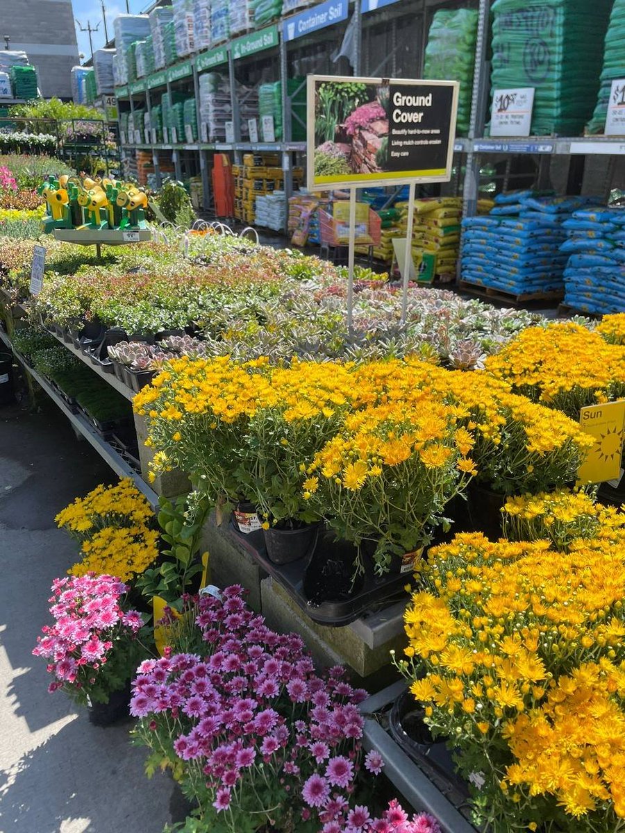 IceXcoin tweet media