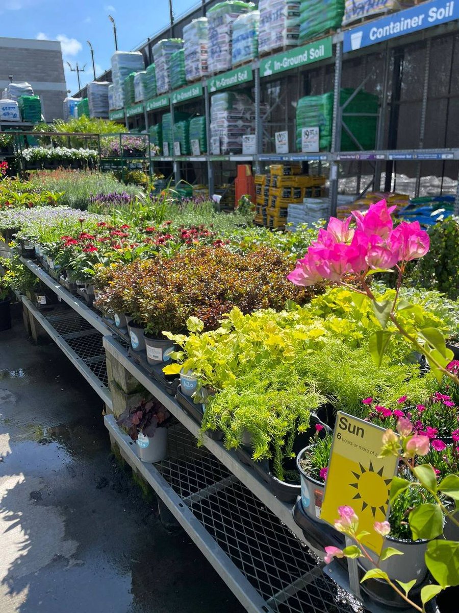 IceXcoin tweet media