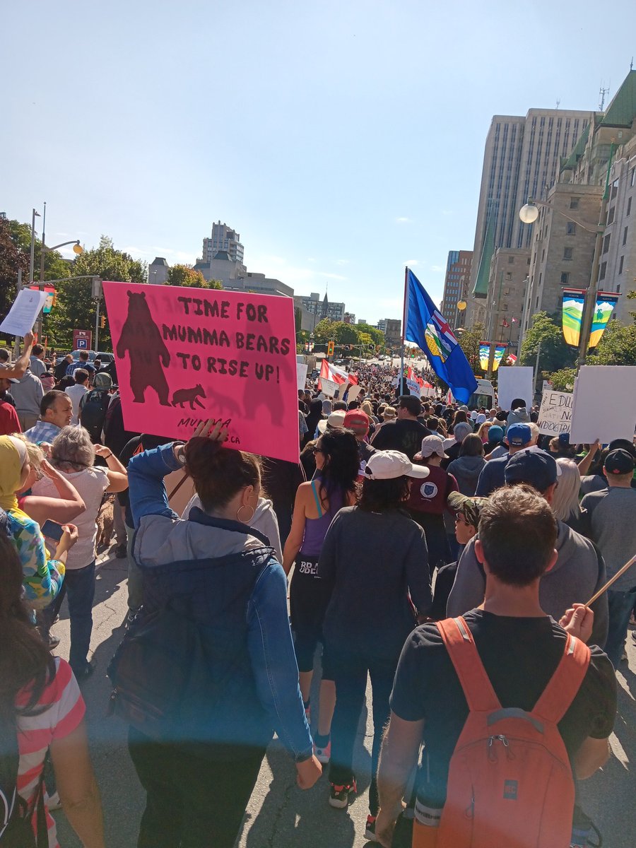Saillte's tweet photo. @FredHahnCUPE @cupenat @theJagmeetSingh @MatthewGreenNDP @ChandraPasma @CUPEOntario @OFLabour @WeSayEnoughON From where I was standing, you were merely an annoyance that left as soon as the march started. #LeaveOurKidsAlone #MillionMarchCanada #StopTheIndoctrination https://t.co/p5nd2SEyKr