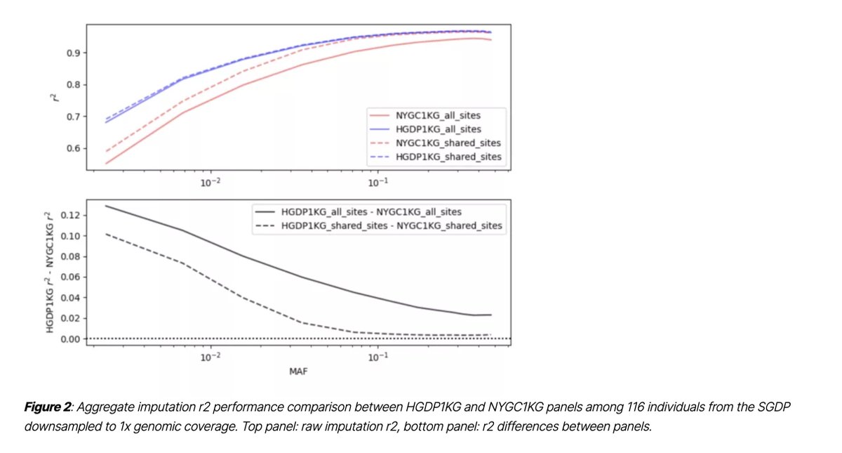 The 1000 Genomes dataset has been the most robust, generally-available imputation reference panel for nearly 10 years now The new HGDP plus 1000 Genomes dataset from @genetisaur et al. seems to have finally de-throned it gencove.com/blog/an-update…