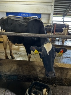KMMorlock's tweet photo. What a beautiful day for the Stewie Invite!  Thanks Mr. Erickson, Roeder Farm, and Twohey Farm for hosting 31 schools!  What a great opportunity for our students! https://t.co/9L8sUnyPuw