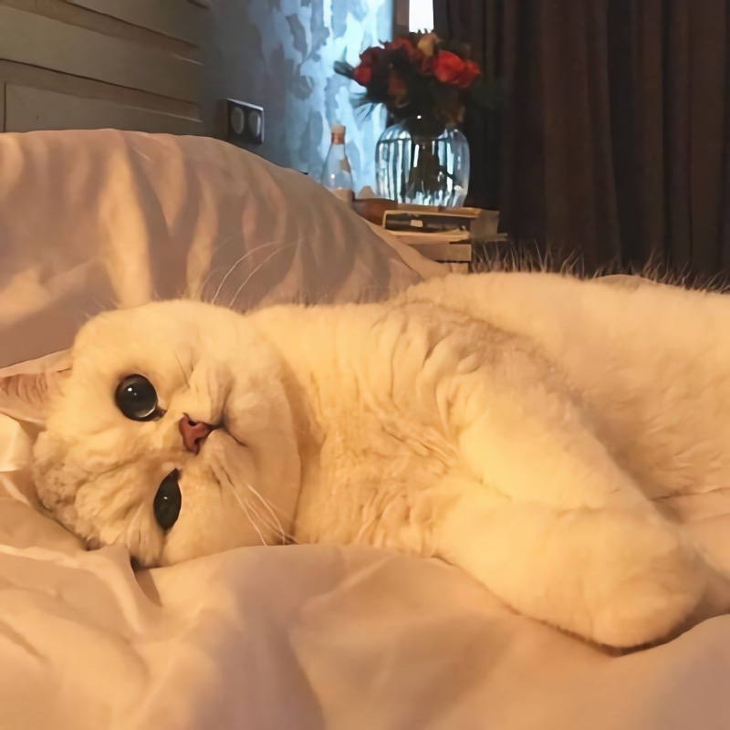 Michellaaq's tweet image. 𝗟𝗶𝘃𝗲 𝗳𝗼𝗿 𝘆𝗼𝘂𝗿𝘀𝗲𝗹𝗳.✨