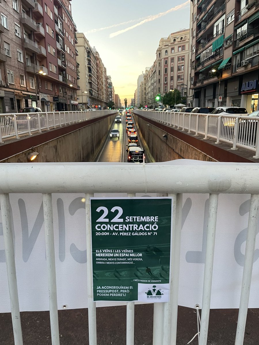 Petxina València tweet media