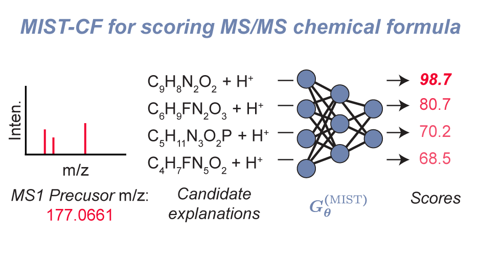 samgoldman19's tweet photo. MIST-CF learns to score the compatibility b/w a chemical formula (+ adduct) candidate and MS/MS. Especially excited about how we removed dependence on SIRIUS/CSI for subformula labeling. Now updated in MIST v2 code too (https://t.co/mgGeh7QWef).

2/3 https://t.co/GZEMiyA42T