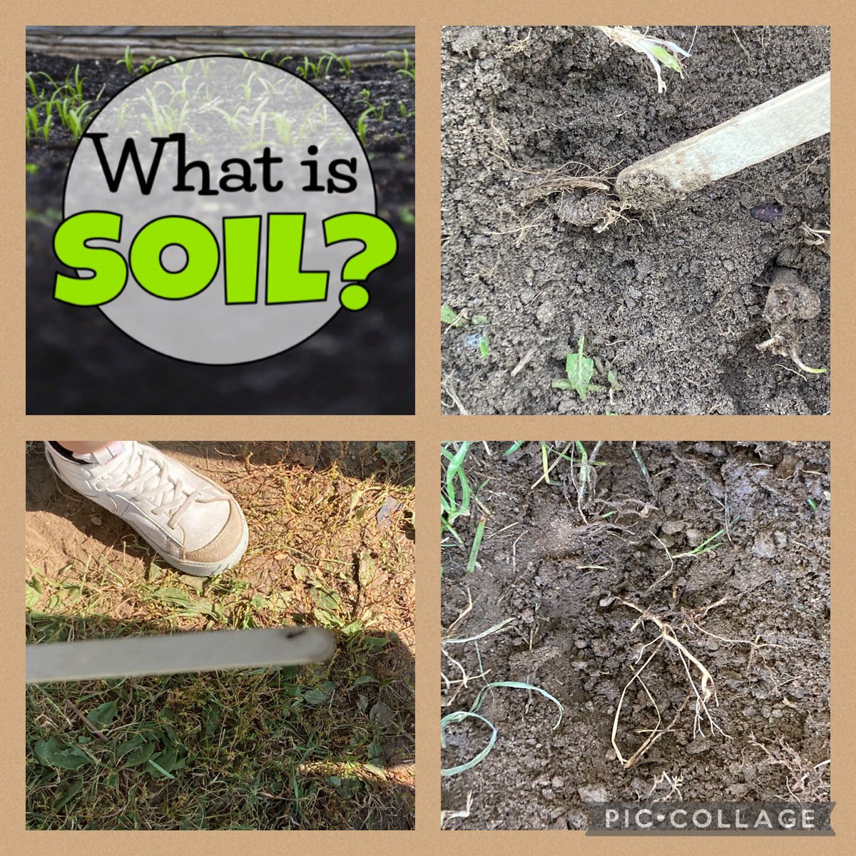 Mr. Guse tweet media