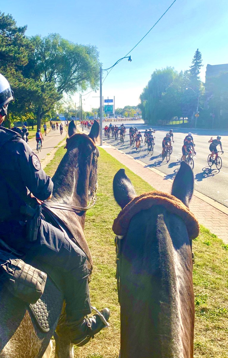 TPSMounted's tweet photo. #PHNormandy and #PHDavis got to send off our cyclists for the #RideToRemember as they cruised thru Toronto. Destination Ottawa @ the Canadian Police Memorial on Sept 23. Thank you all for your service and your dedication to the cause. We salute you. #safetravels #herosinlife https://t.co/ZrE2HDVQ51
