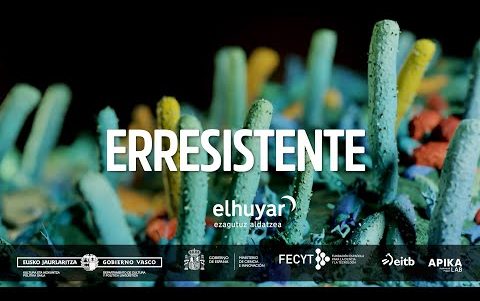 zuzeu's tweet photo. Elhuyarrek #ERRESISTENTE dokumentala egin du antibiotikoekiko erresistente bihurtu diren bakterioen arazoa gizarteratzeko
https://t.co/4Ky7T7nTaW @Elhuyar https://t.co/ebs3Xw0Owv