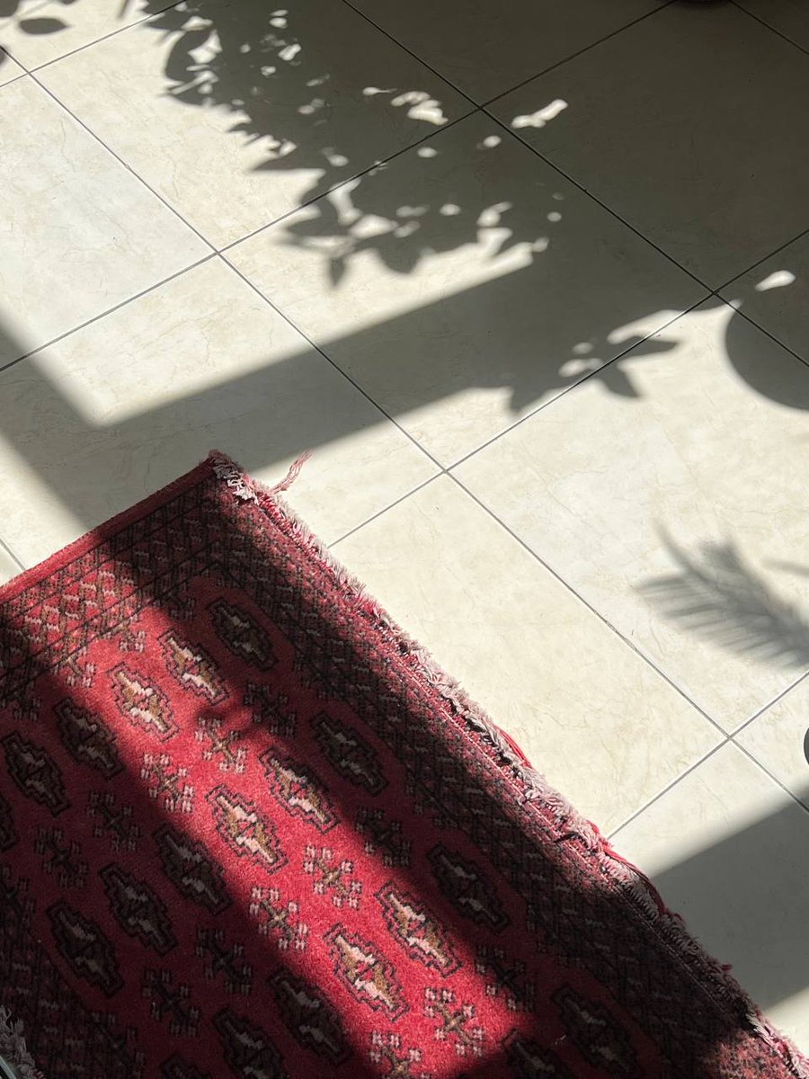 این عکسایی که گرفتم شاید خیلی ساده و به هم ریخته و حتی بدون کادر بندی به نظر برسه
ولی برای من پر از حس زندگیه
یه زندگی واقعی، بدون تظاهر و ساده
راستش این مدلیه که من دنیا رو میبینم=)