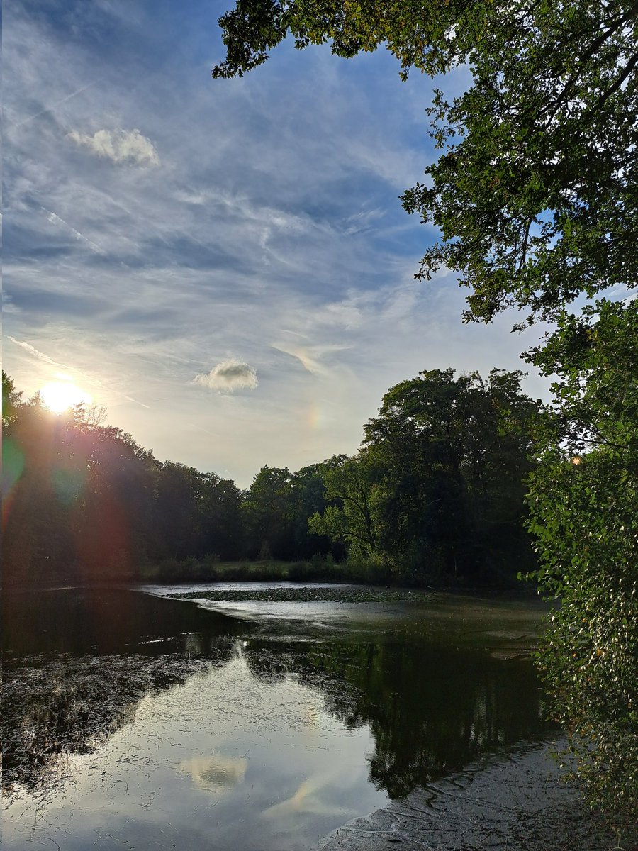 bosw8eradriaan's tweet photo. Een mooie avond op het #Springendal in #Twente https://t.co/6b0h8wDfWB