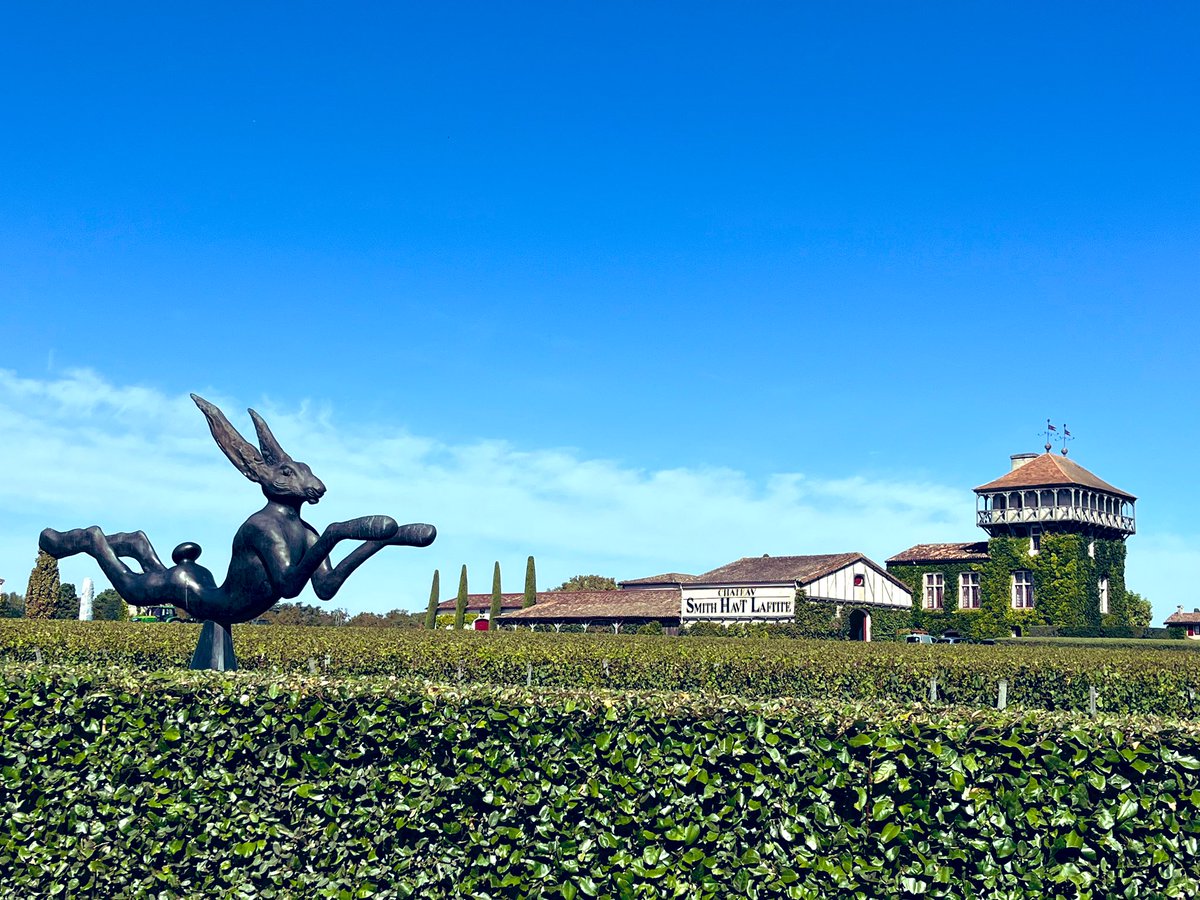 aotearoa33's tweet image. Quelques jours avant le roi Charles III, visite du château Smith Haut Lafitte 😍 
#pessacleognan