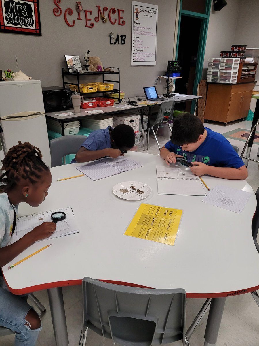 Laura Bull tweet media