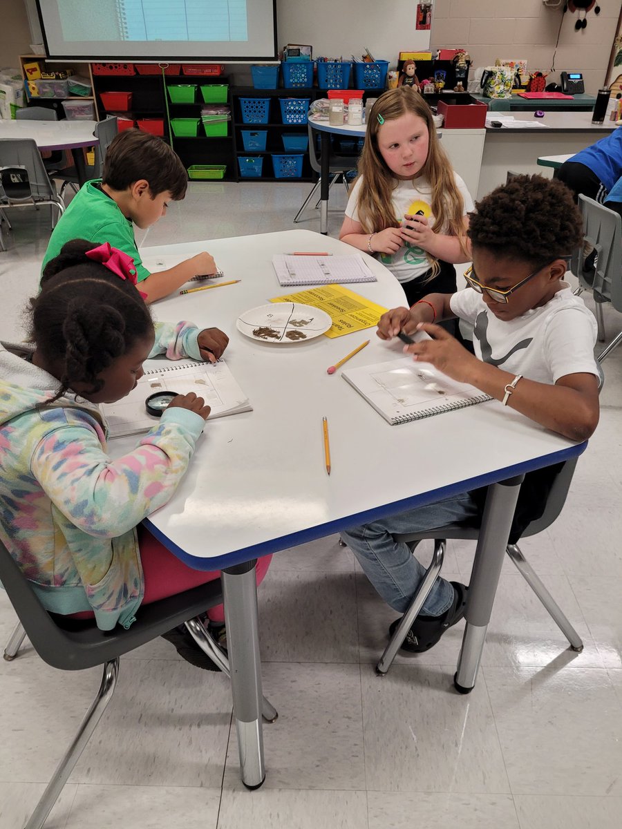 Laura Bull tweet media