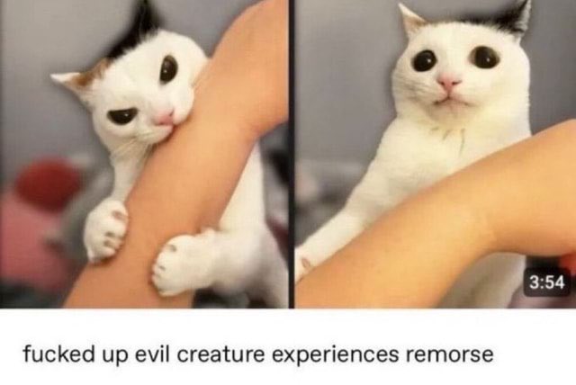 BatimFan97's tweet photo. @RespectfulMemes https://t.co/tx4I7AkVL7