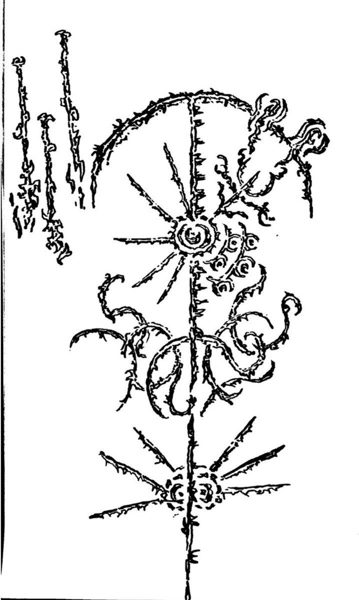 timeandjoy's tweet photo. cyber sigil practice https://t.co/JGSFMXSpXo
