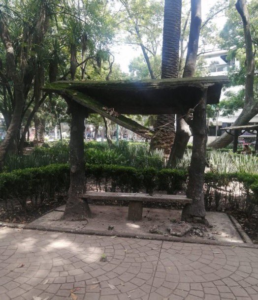 LaVozHipodromo's tweet photo. URGE MANTENIMIENTO Y REPARACIÓN.
El techo de una de las bancas en #parquemexico se desplomó pone en riesgo a personas. Banca enfrente d Av. Sonora x la Biblioteca. .@ColHipodromo1 .@AlcCuauhtemocMx .@PrensaCuevas  .@SandraCuevas_ .@seduviCDMX .@redmuseosINBAL .@CCB_INBAL .@inbal https://t.co/iaITXSc1pS