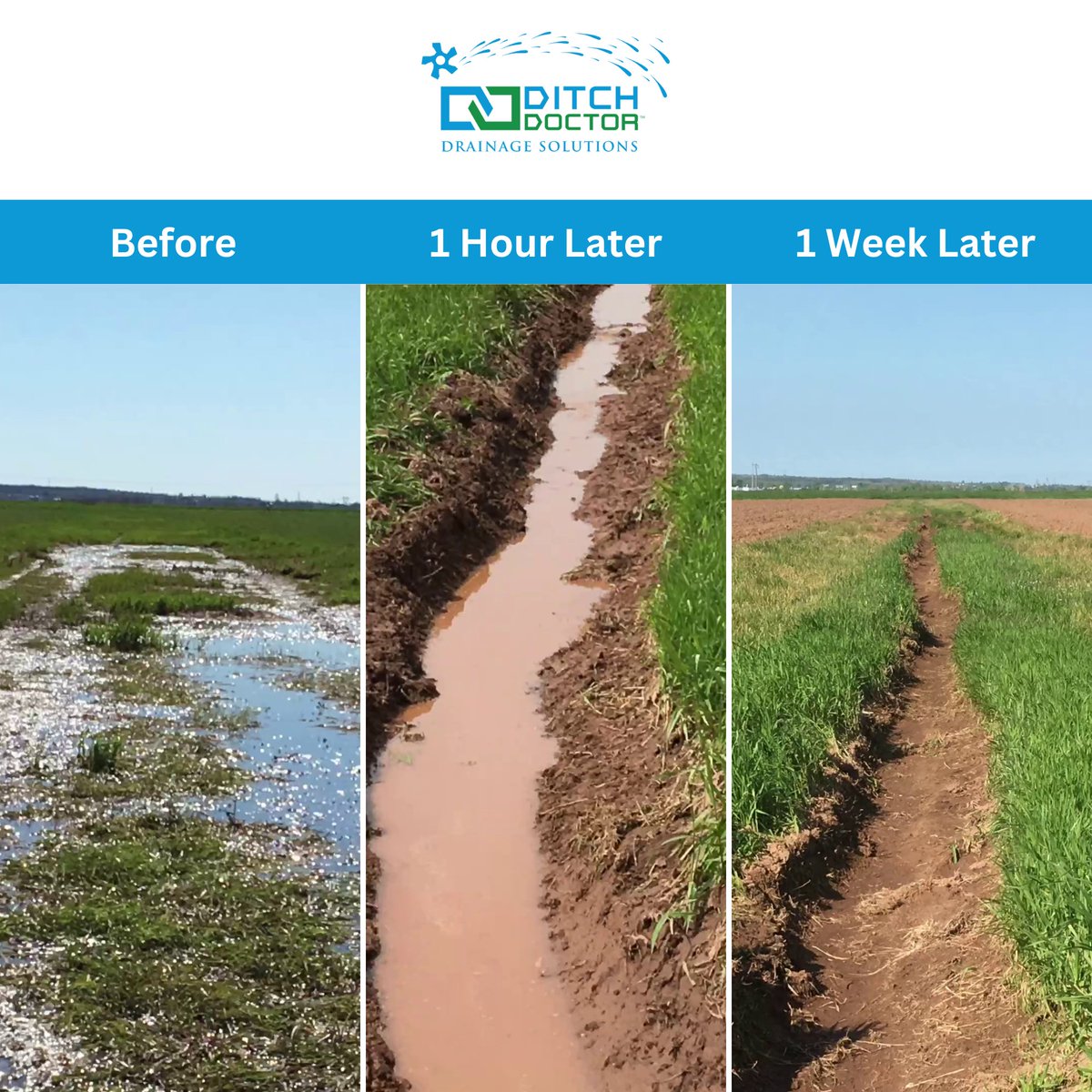 DitchDoctorLtd's tweet photo. The Ditch Doctor® is an innovative method used to construct, restore, and maintain ditches while being environmentally friendly. 🌎

Check out these results the attachment was able to achieve! Get in touch with us today at info@ditchdoctor.ca or call us at +1 (902) 662-2234! 📞📧 https://t.co/f2L9LPlgBv