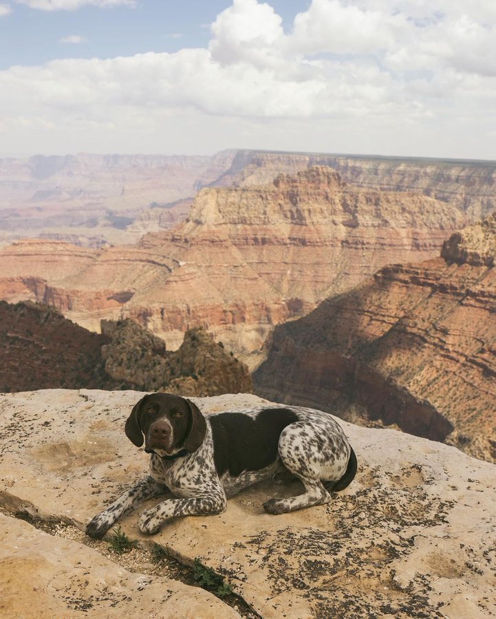 An ordinary woman tweet media