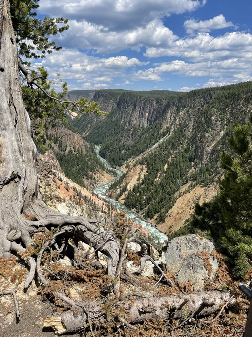 An ordinary woman tweet media