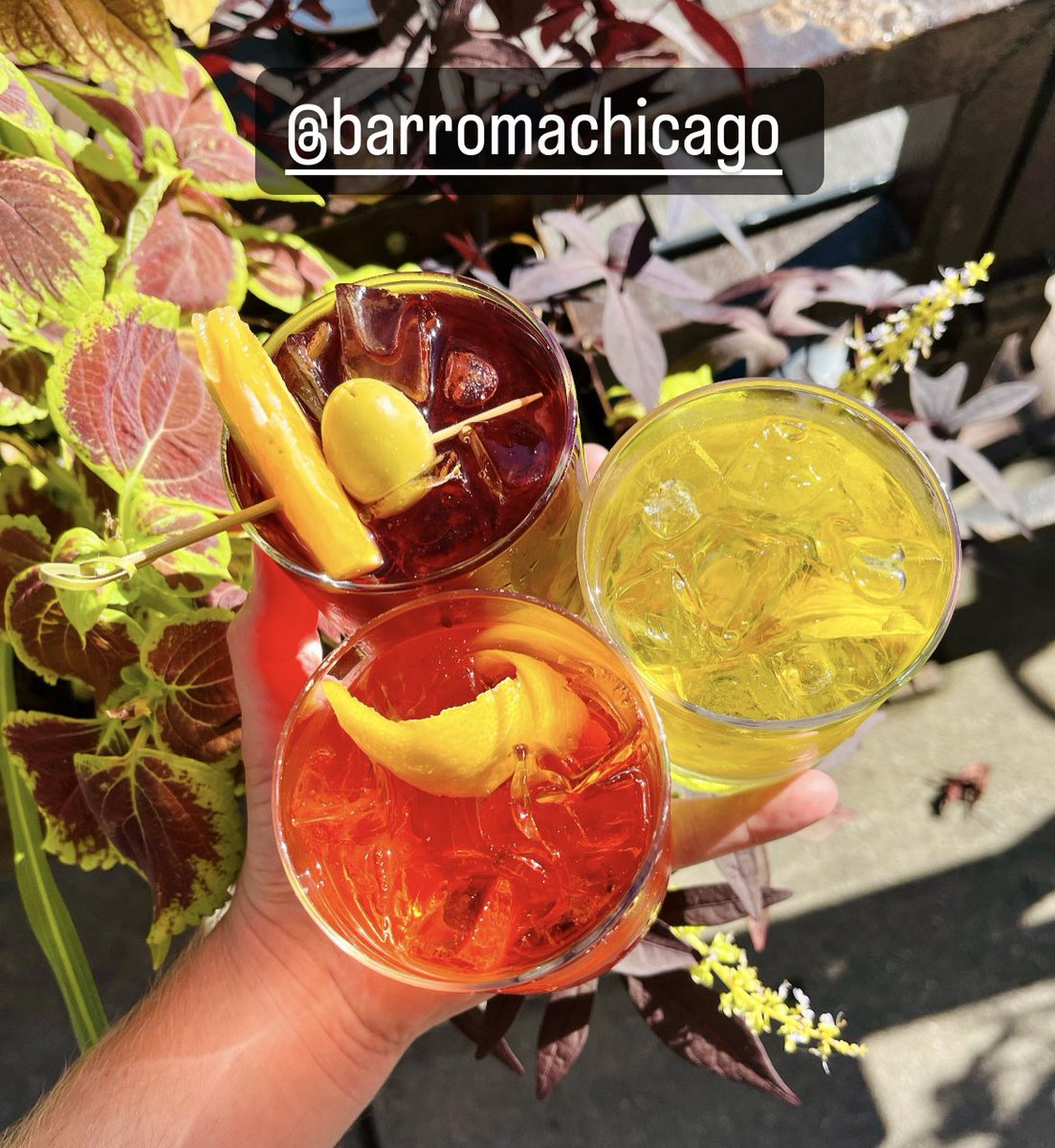 Sip and support @slowfoodusa during #NegroniWeek at AngelinaRistorante.com and @barromachicago! 🍹🥃