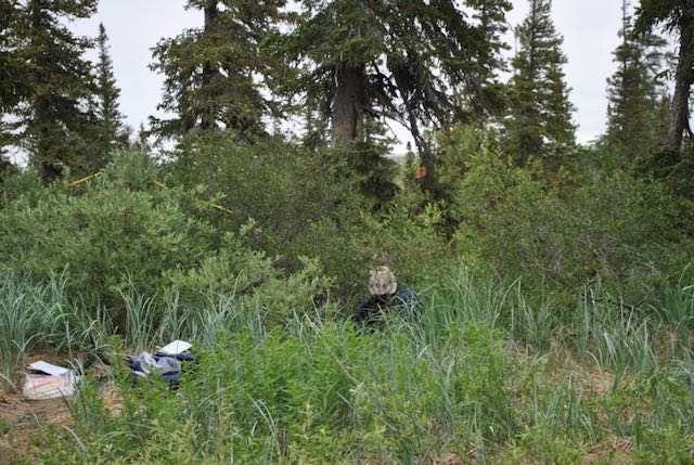 An ordinary woman tweet media