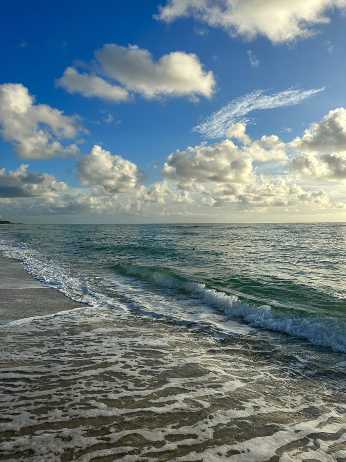 An ordinary woman tweet media