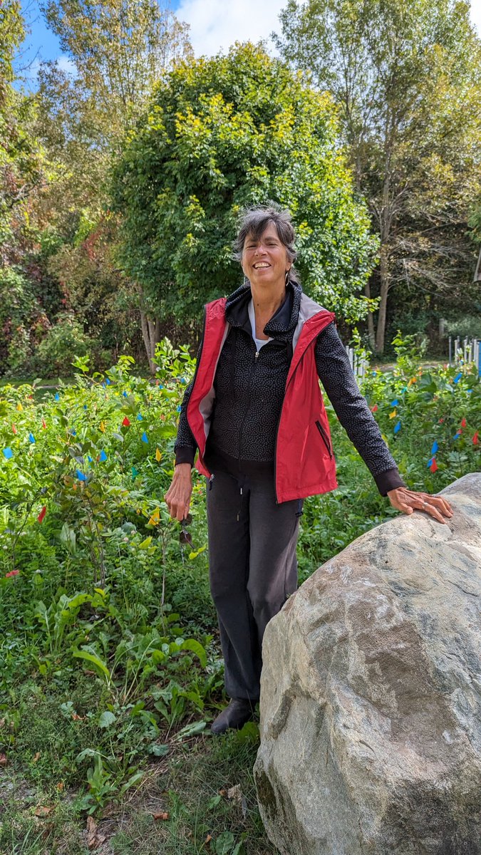 Astridoasis's tweet photo. Check out our 1 year old #littleforestskingston at Big Sandy Bay  #wolfeisland well on its way to becoming 100 yr old forest in just 15 yrs @1000IslandsAAMG @NationalTreeDay https://t.co/qtVbDrHgVh