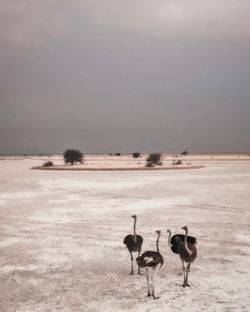 Makgadikgadi Salt Pans, Botswana I’ve been here so many times, this view was a first though.