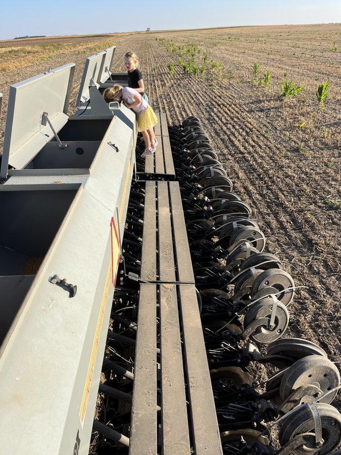 An ordinary woman tweet media