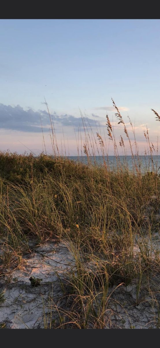 An ordinary woman tweet media