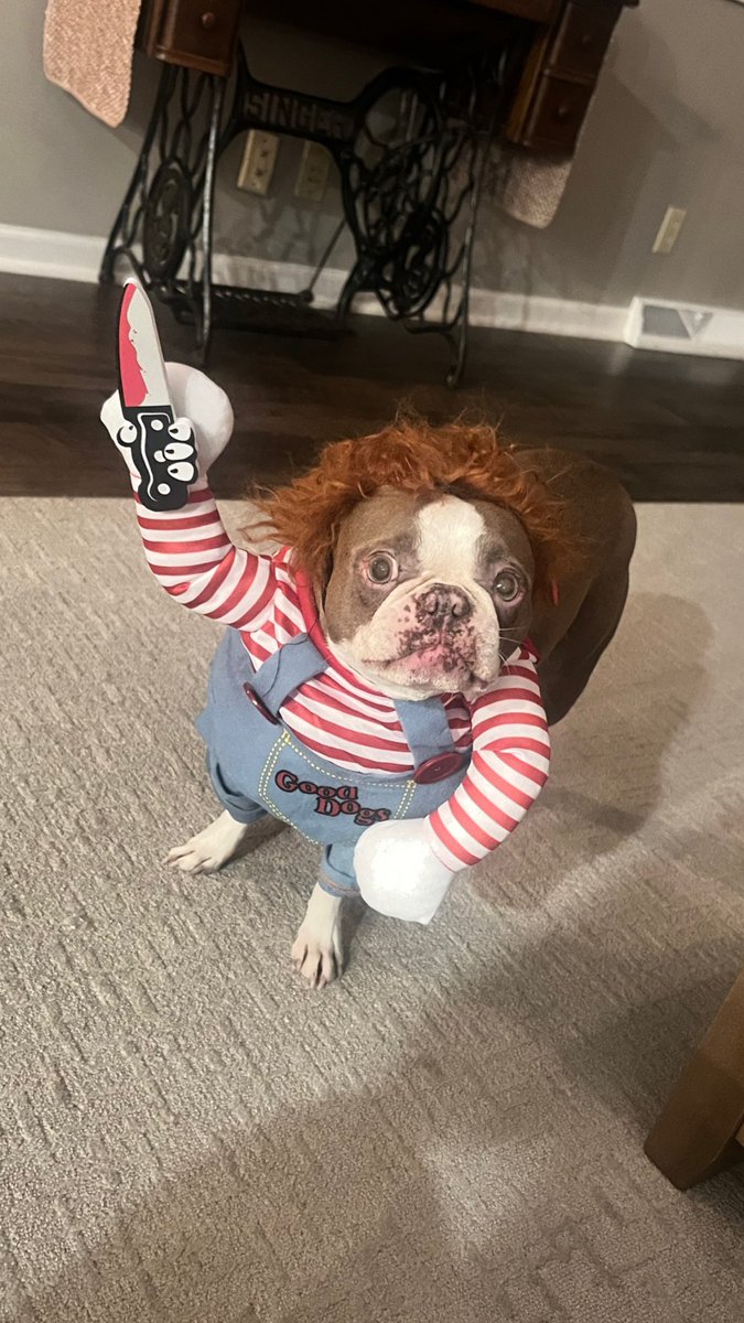 An ordinary woman tweet media