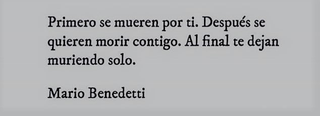 literland (@literlandweb1) on Twitter photo 