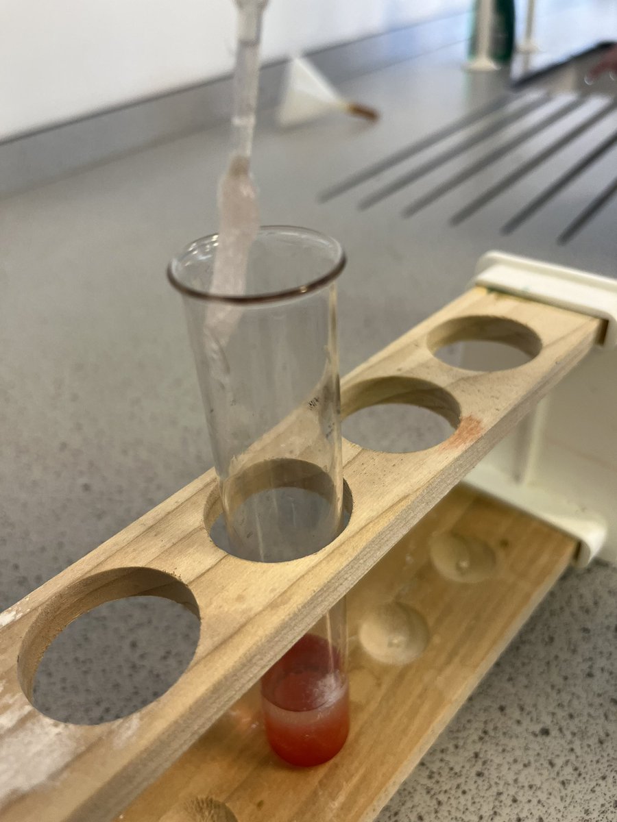 Scott Russell tweet media