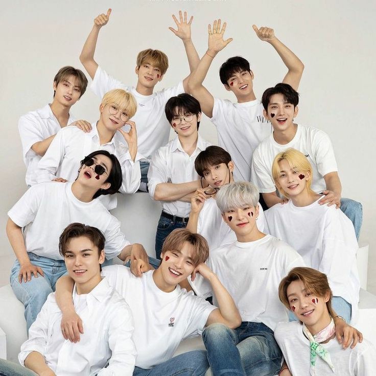 shuainfairytale's tweet image. — a seventeen ot13 friendship au