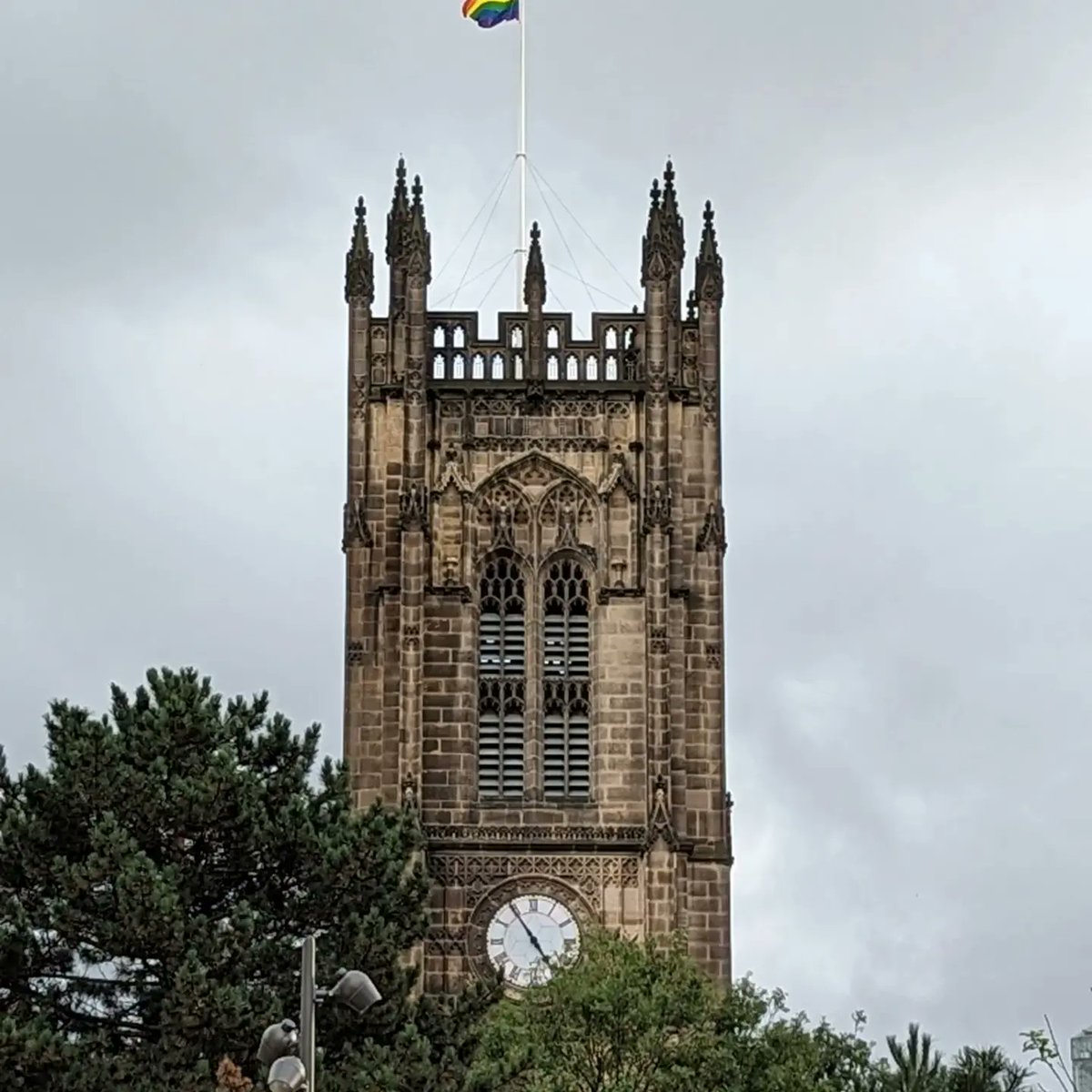 DrZaraQuail tweet media