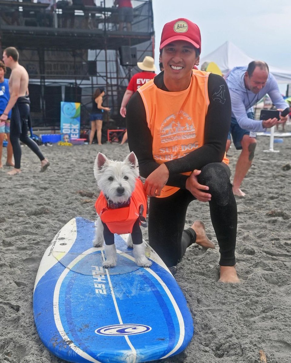 SptsLA's tweet photo. 🏄♂️ Los perritos conquistaron las olas en #California
El #SurfAThon celebró su 18va edición, donde nuestros peludos amigos se subieron a las tablas de surf para una noble causa. 🐶🌊
Organizado por #AnimalCenter, este evento recaudó fondos para perros necesitados. 🐾❤️ https://t.co/HqmSTHLnPy