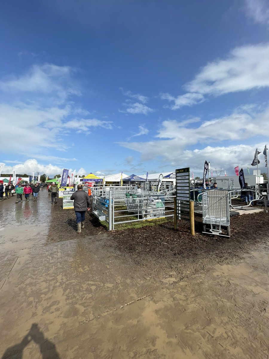 Day 2 done at the National Ploughing Championships, Final day tomorrow at stand 42 block 3 row2, see you all bright and early #showtime #cattleshow #sheepshow #farminglife #ploughing2023