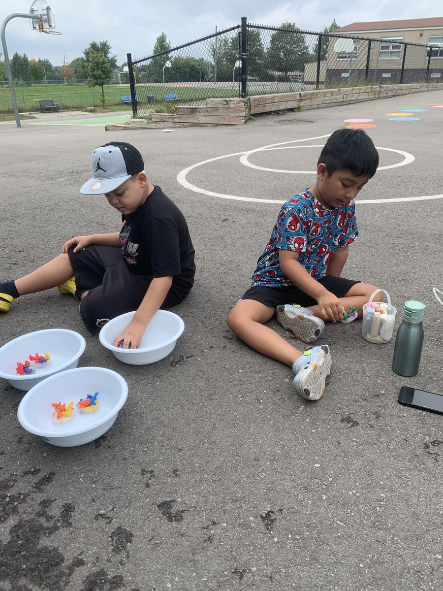 Mrs. Bossio tweet media