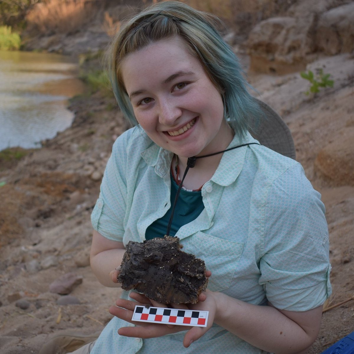 CisaJaneFowler's tweet photo. Finally! Kalambo Falls research has been published! 
We found evidence for the earliest structural use of wood, dating back over 476,000 years! 
If you have a moment check out the paper published in Nature 👇🏻
https://t.co/oOIPK3GTI4 https://t.co/vGiAyiplZG