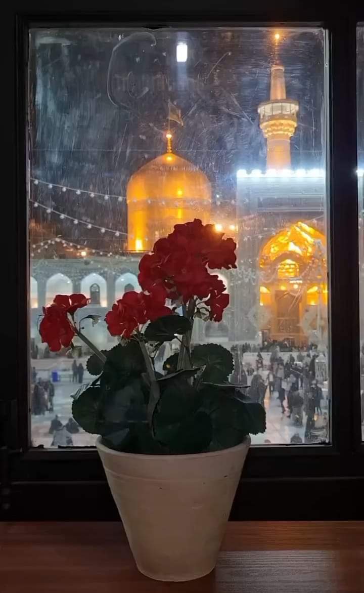 ShiaMultimediaa's tweet photo. مدد کیجیے یا امامِ رضاؑ
نگاہِ کرم وارِثَ مصطفیٰؐ
میں مجرم ہوں اور آپؑ ابرِ کرم
میرے سامنے آپؑ کا ہے حرم
میں جیسا بھی ہوں، ہوں گدا آپؑ کا
مدد کیجیے یا امامِ رضاؑ
نگاہِ کرم وارِثَ مصطفیٰؐ

شیعہ ملٹی میڈیا https://t.co/aZoFQzxVob