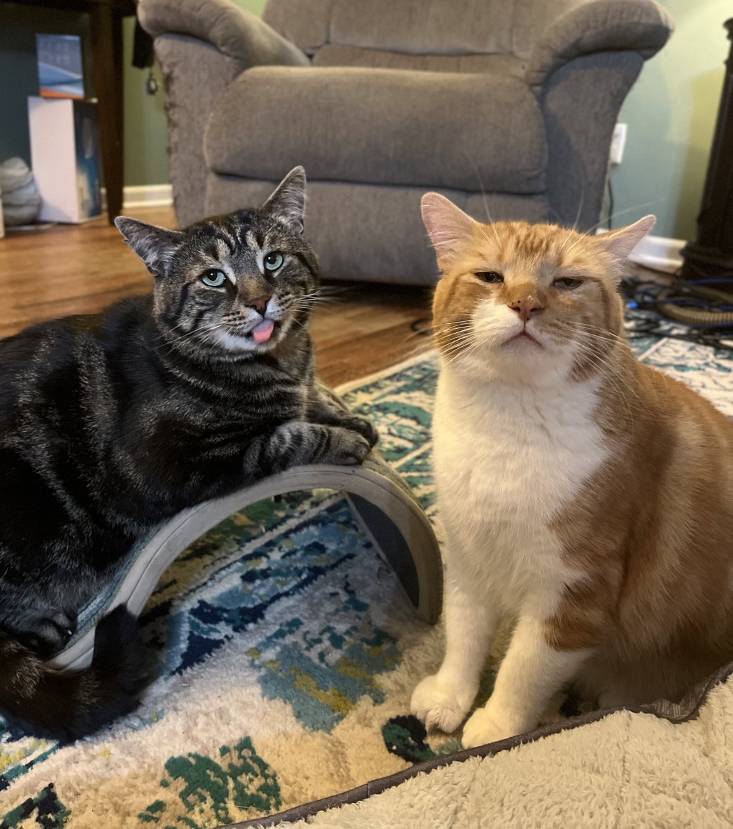 :p