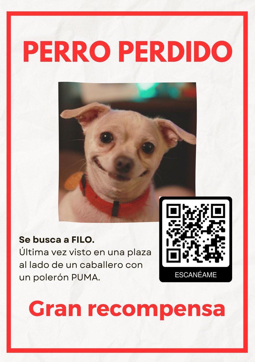 Media del tweet del 2023-09-20
