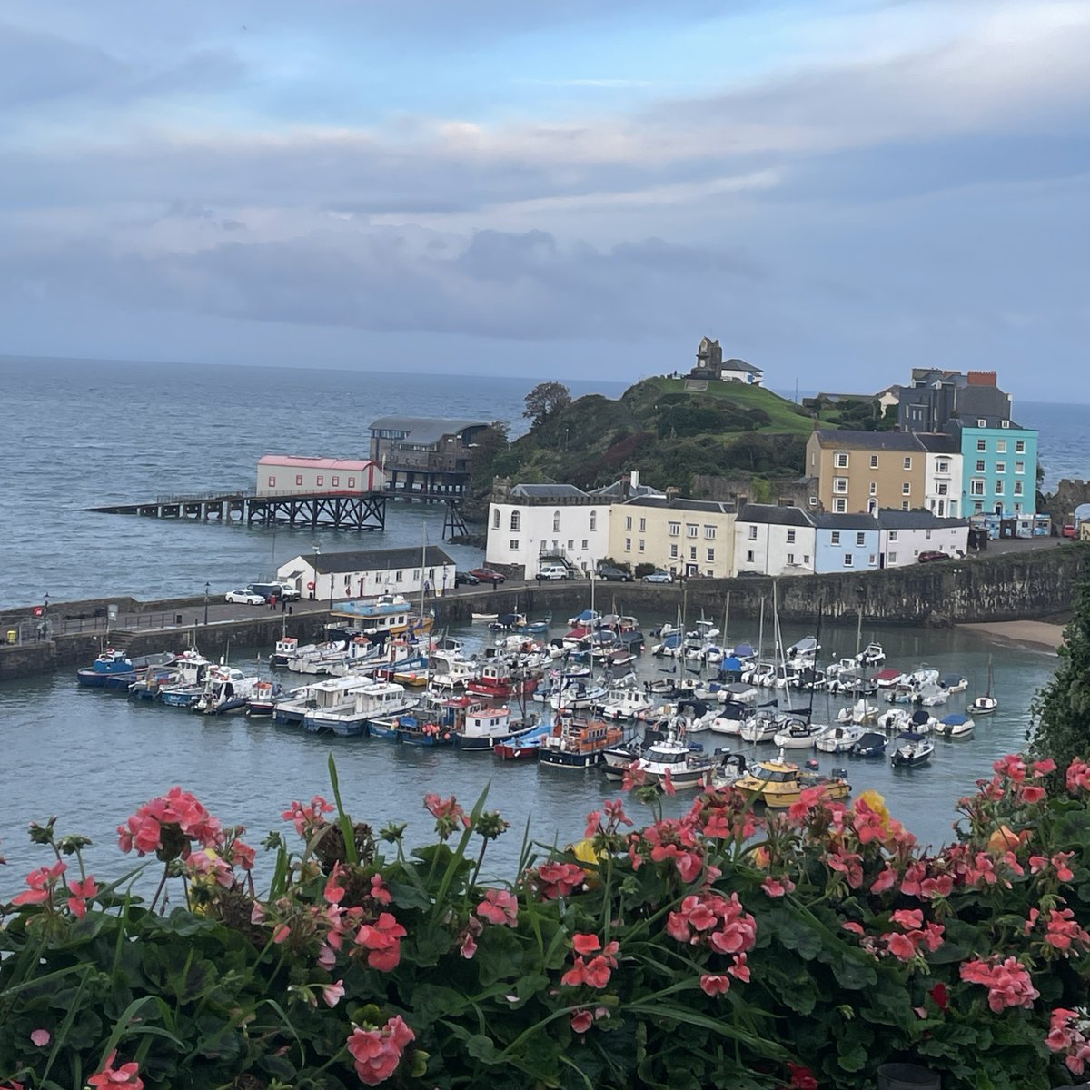 Mark Williams tweet media